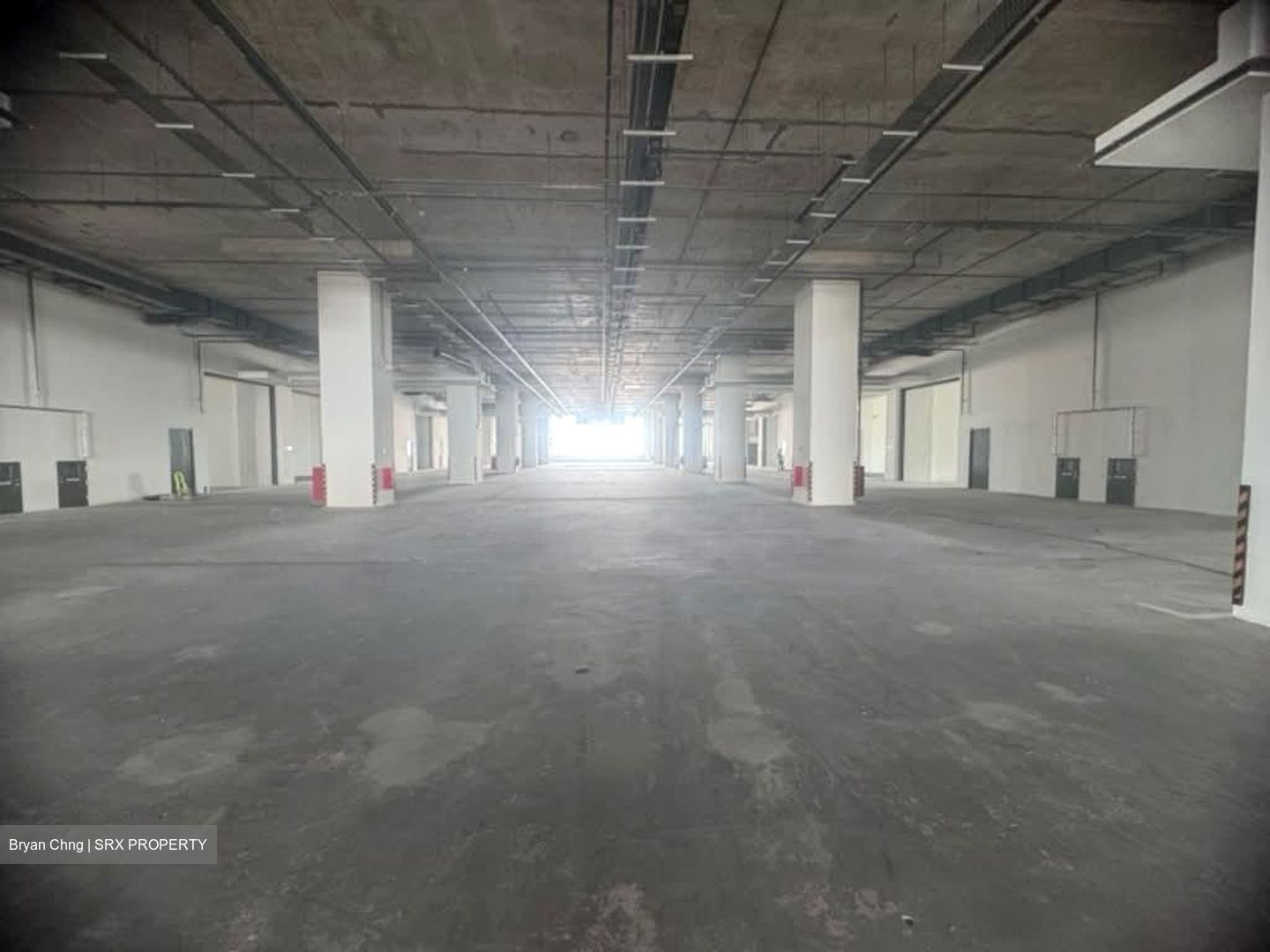 FOOD ASCENT (D22), Factory #570949031